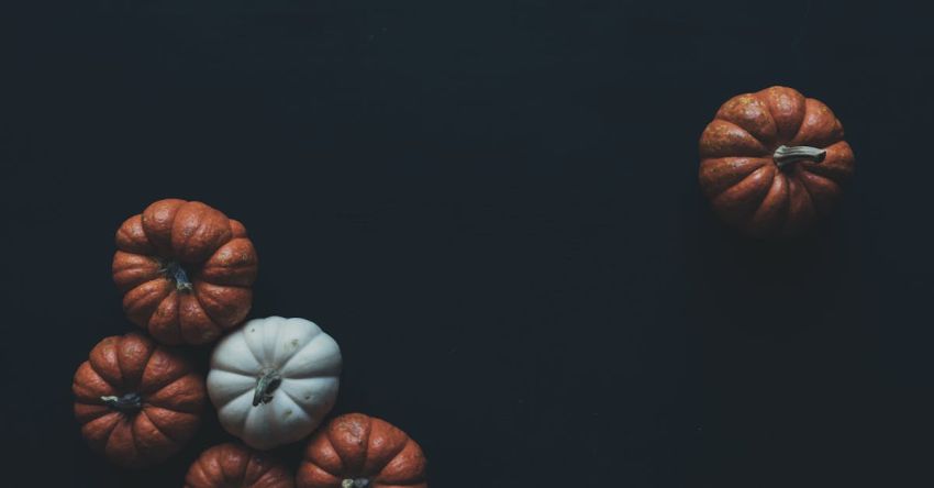 Harvest Festival - Photo of Brown and White Pumpkins